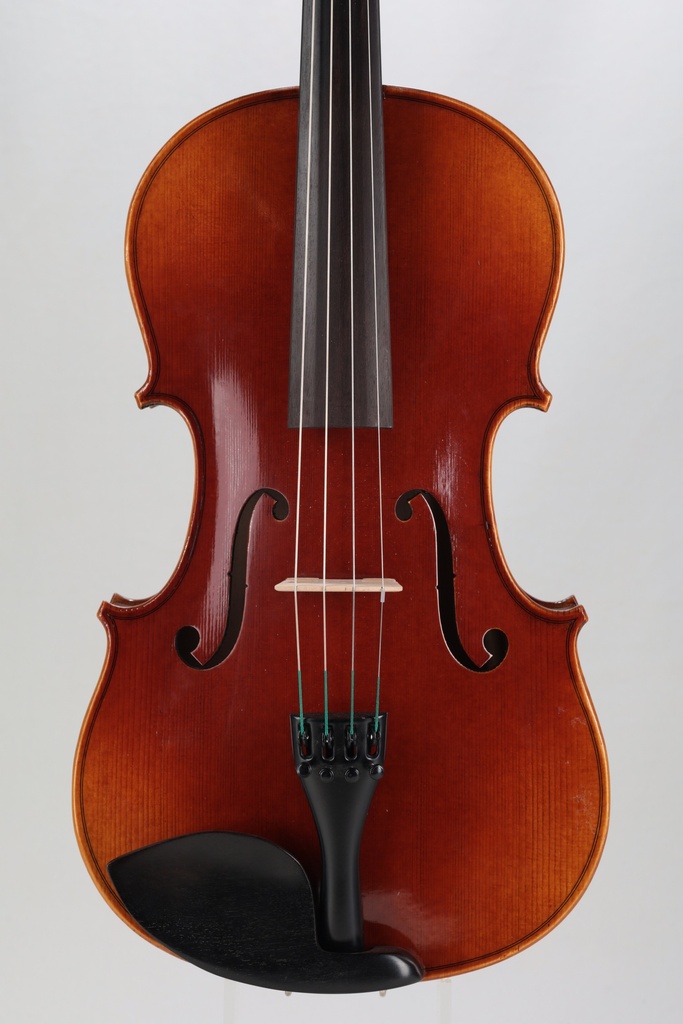 Bianca Papp Viola, 2024- 16"