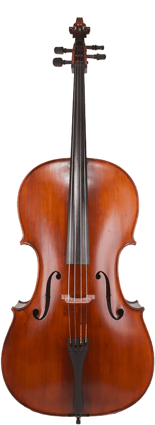 Advanced Cello Rental