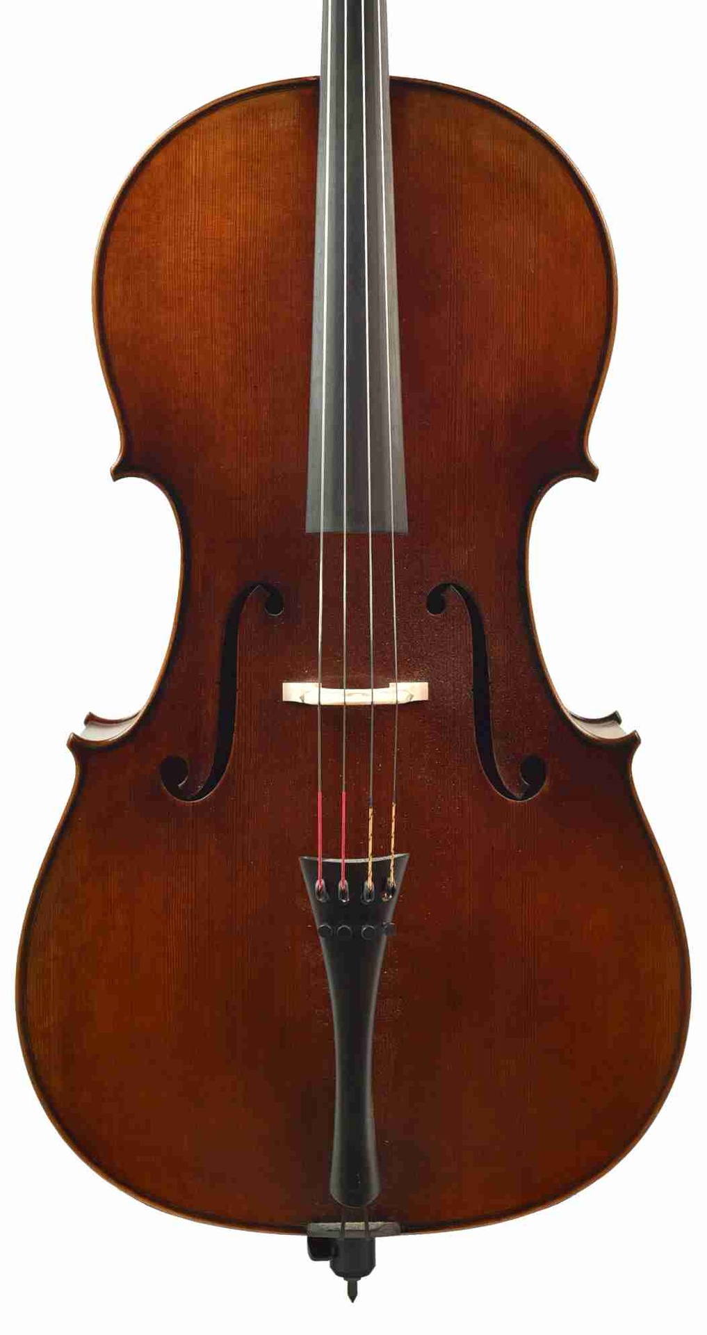 image_1920?unique=ed1e8ef