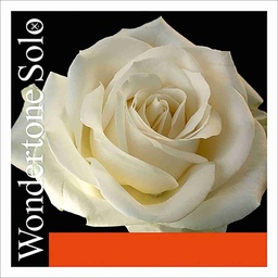 [1WVD] Wondertone Solo Violin D String, Silver, 4/4 Size