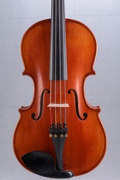 [va3578] Paolo Lorenzo Viola, 2011- 15 5/8"